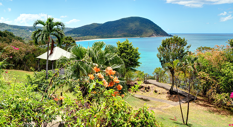 Charme des petites Antilles