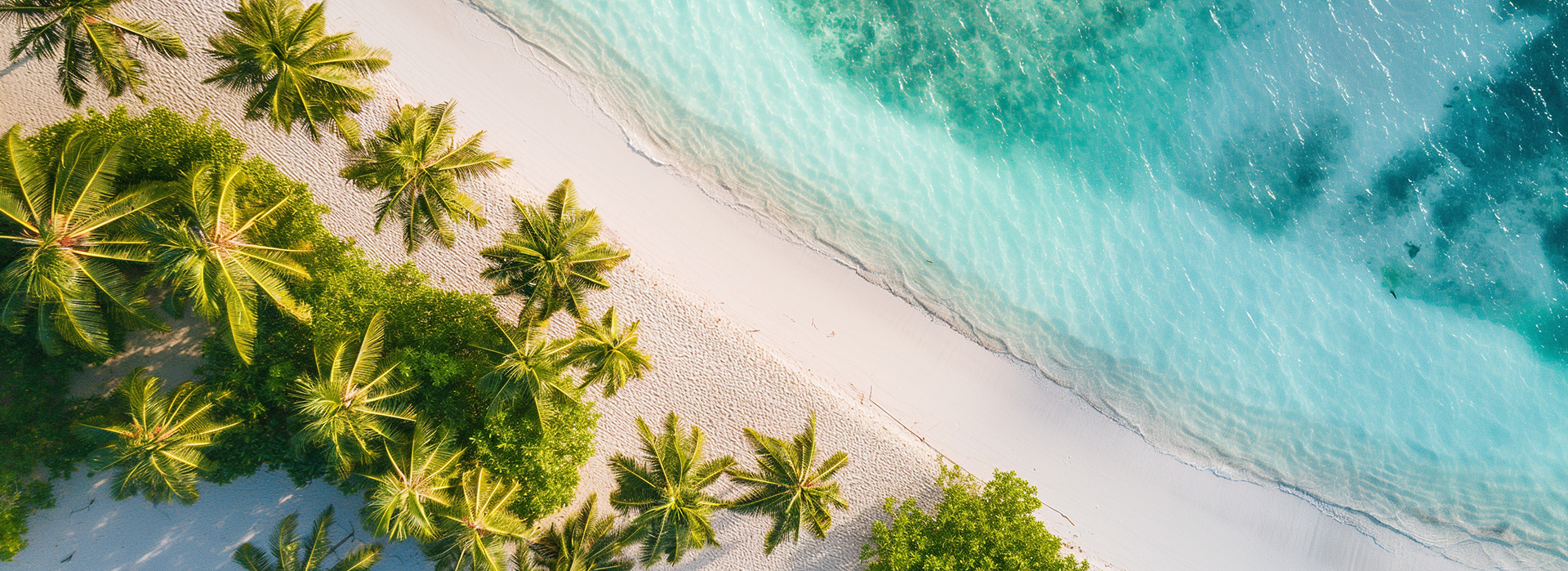 Évasion tropicale absolue